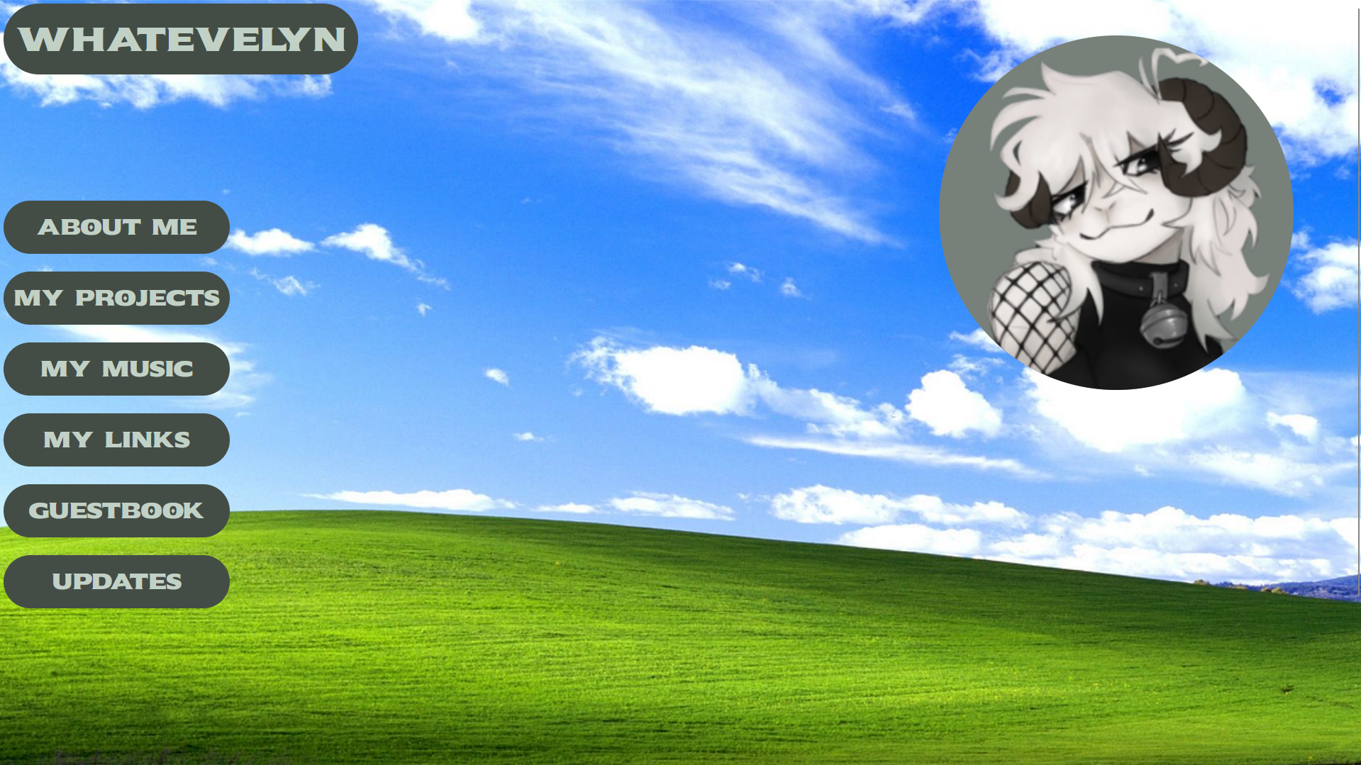 Photo of the main page of this website